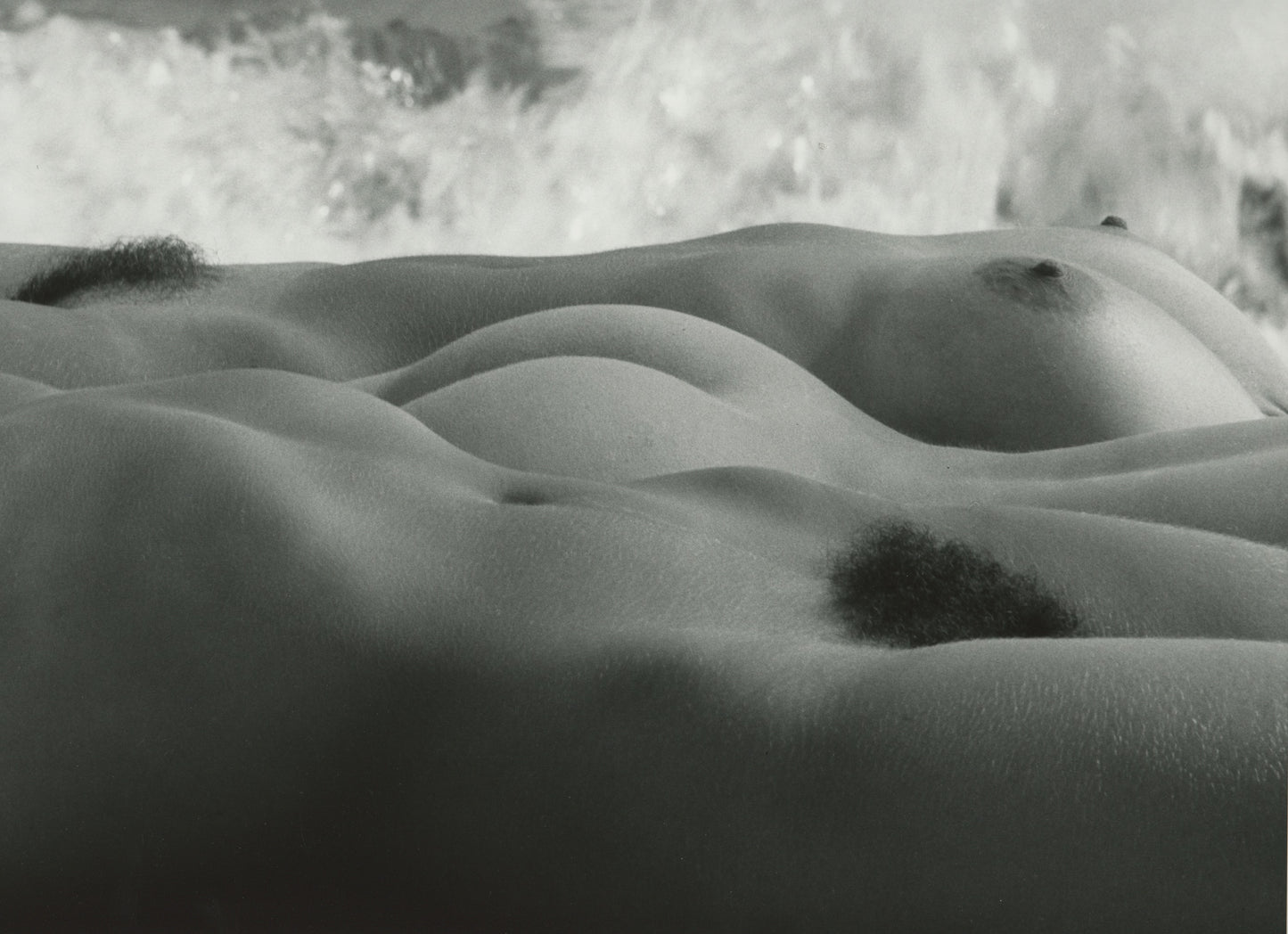 Triad of Genesis in the Camargue by Lucien Clergue